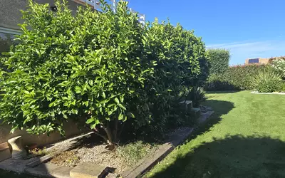 Saint-Cyprien (66750)