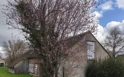 Chambon-La-Forêt (45340)