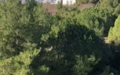 Montpellier (34000)