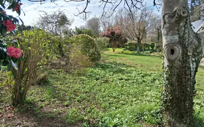 Fouesnant (29170)
