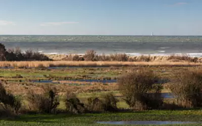 Ver-Sur-Mer