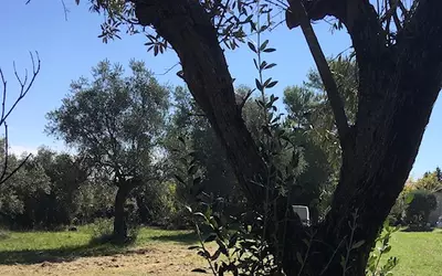 Terrain Montauroux · 228 000 €