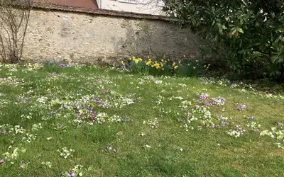 Rambouillet (78120)