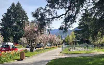 Annecy (74000)