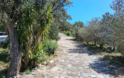 Le Boulou (66160)