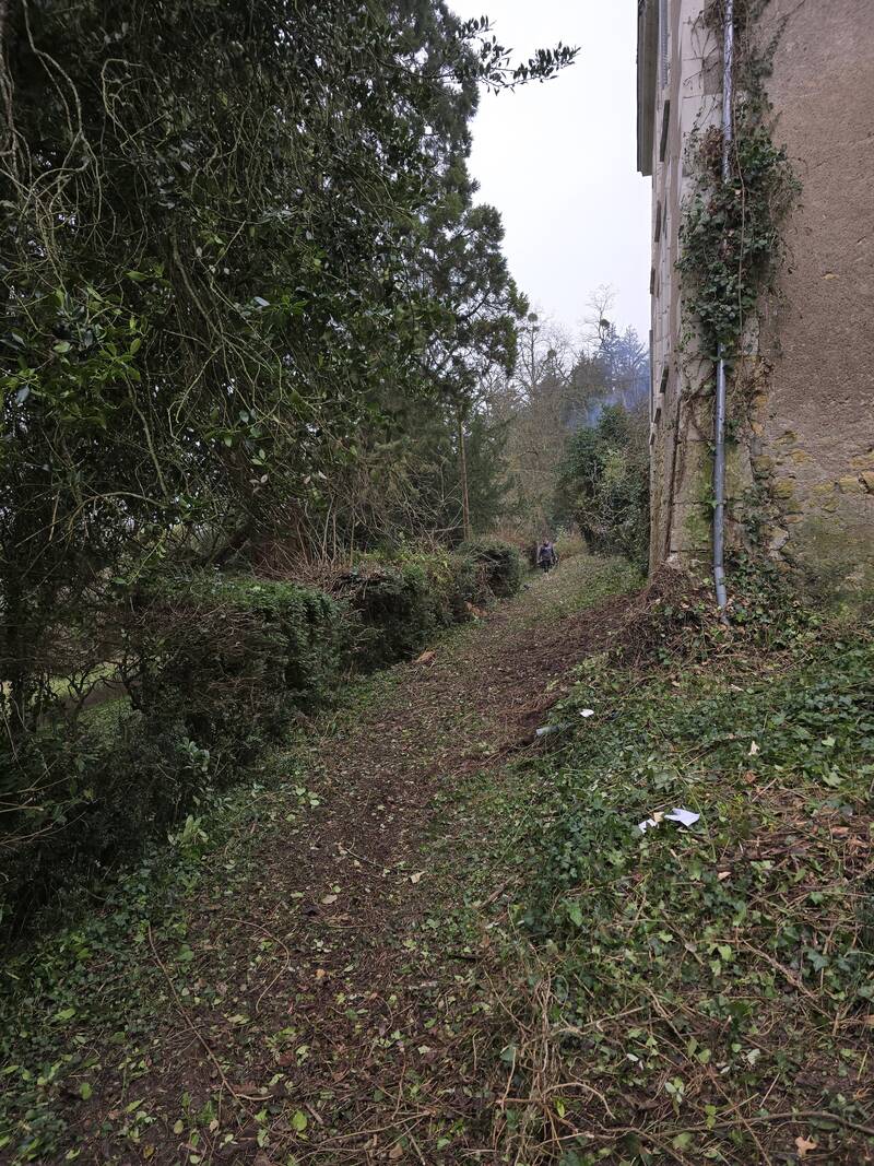 Saint-Règle (37530)