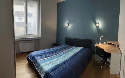 Clermont-Ferrand (63000)