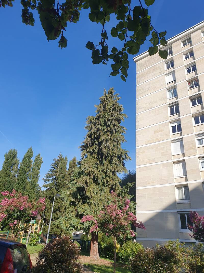 Bougival (78380)