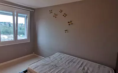 Maubeuge (59600)