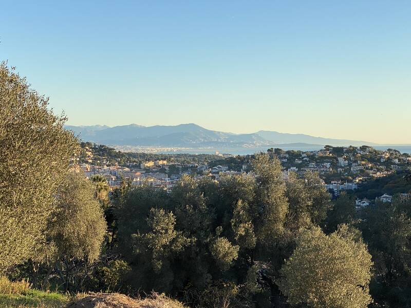 Vallauris (06220)