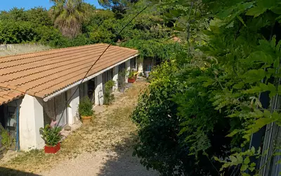 Lunel (34400)