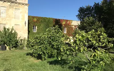 Bourg (33710)