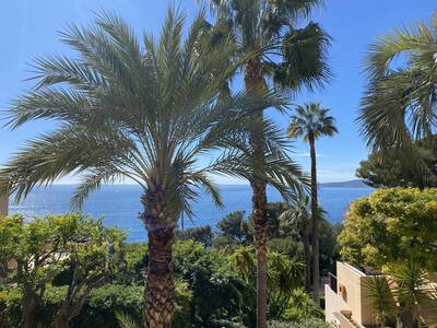 Vente appartement 4 pièces Cap-d'Ail (06320)