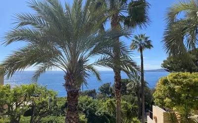 Cap-D'ail (06320)