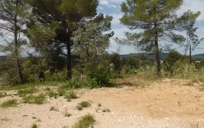 Draguignan (83300)