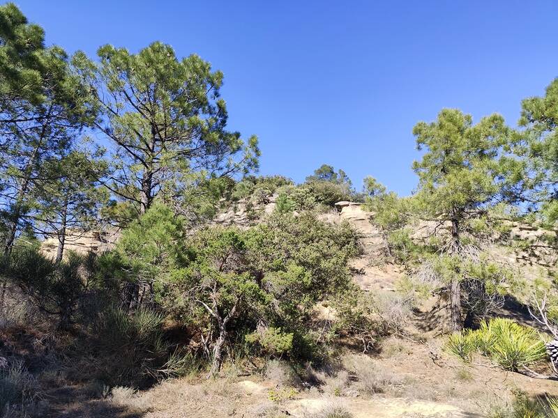 Rousset-Les-Vignes (26770)