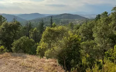 30 Min De St Tropez, Les Charles,Le Muy (83490)