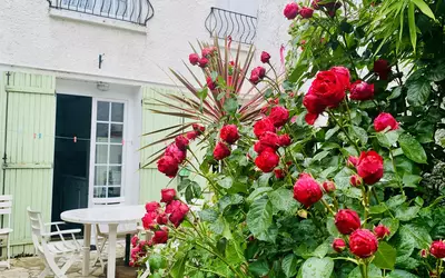 Chevreuse (78460)
