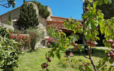 Molitg-Les-Bains (66500)