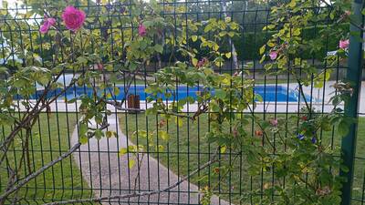 Vente appartement 2 pièces Le Chesnay-Rocquencourt (78150)