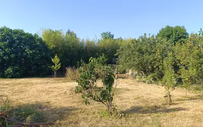Saint-Didier-Sur-Chalaronne (01140)