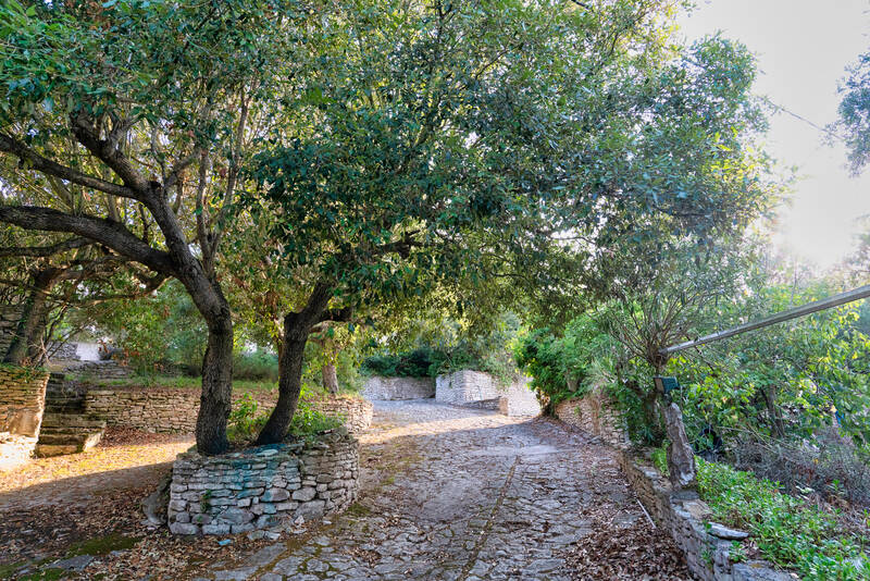 Bonifacio (20169)