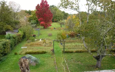 Barbizon (77630)