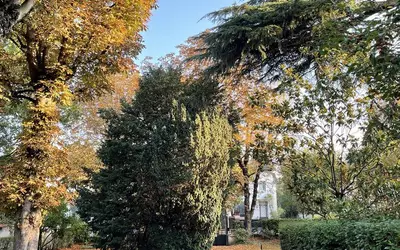 Le Perreux-Sur-Marne (94170)