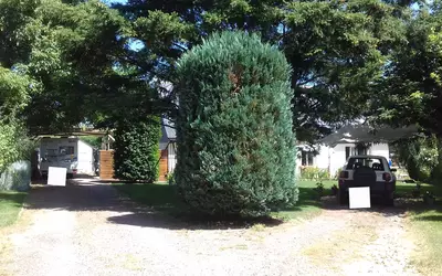 Fontevraud-L'abbaye (49590)