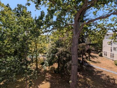 Vente appartement 4 pièces Maisons-Laffitte (78600)
