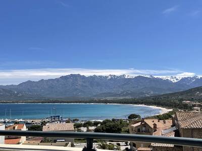 Vente appartement 2 pièces Calvi (20260)