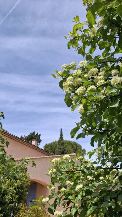 Vente maison 6 pièces Manosque (04100)