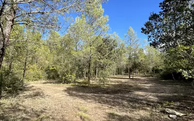 Aujargues (30250)