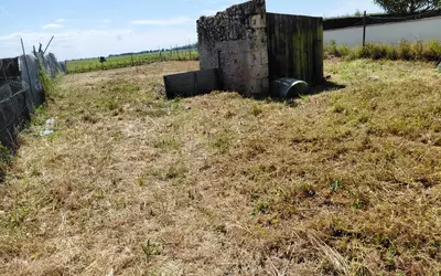 Pauillac (33250)
