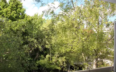 Fontenay-Sous-Bois (94120)