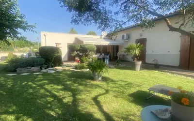 Mâcon (71000)