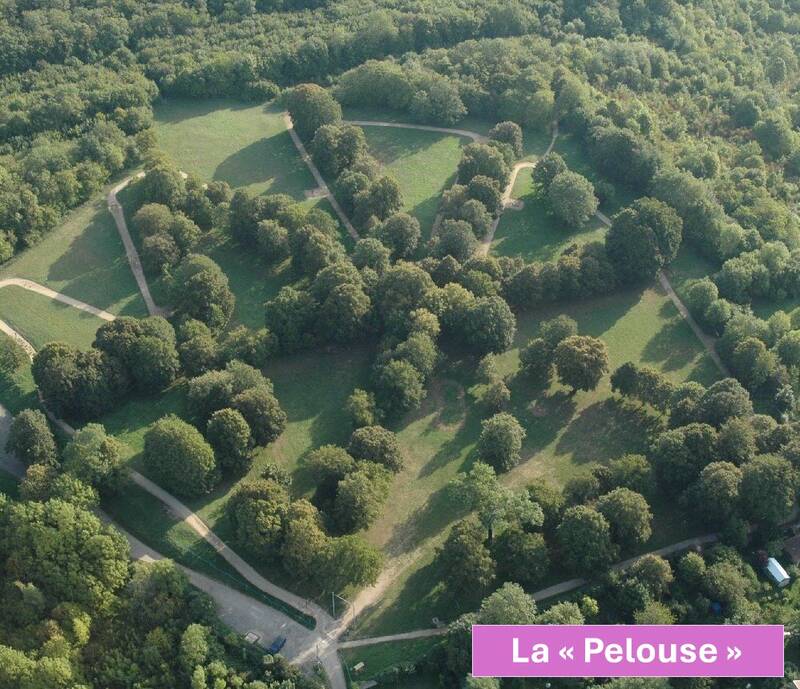 Bouxières-Aux-Dames (54136)