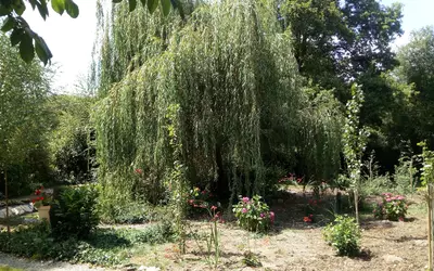 Fégréac (44460)