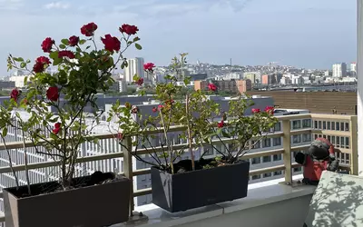Aubervilliers -  Métro Front Populaire - Au Porte De Paris
