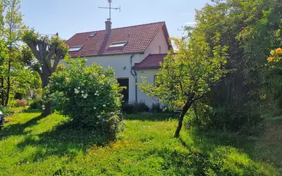Saint-Jean-De-Braye (45800)