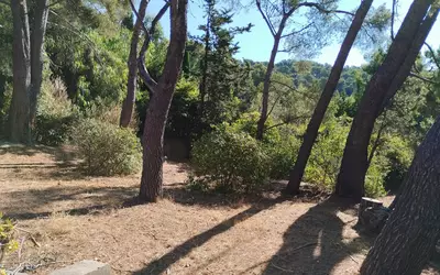 Toulon (83000)