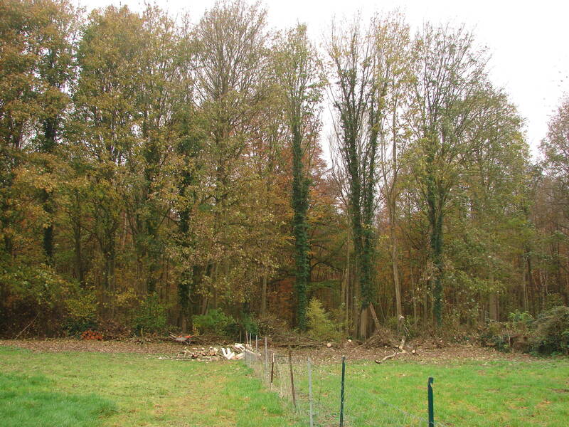 Senarpont (80140)
