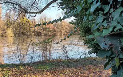 Pontoise (95000)