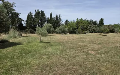Mazan (84380)
