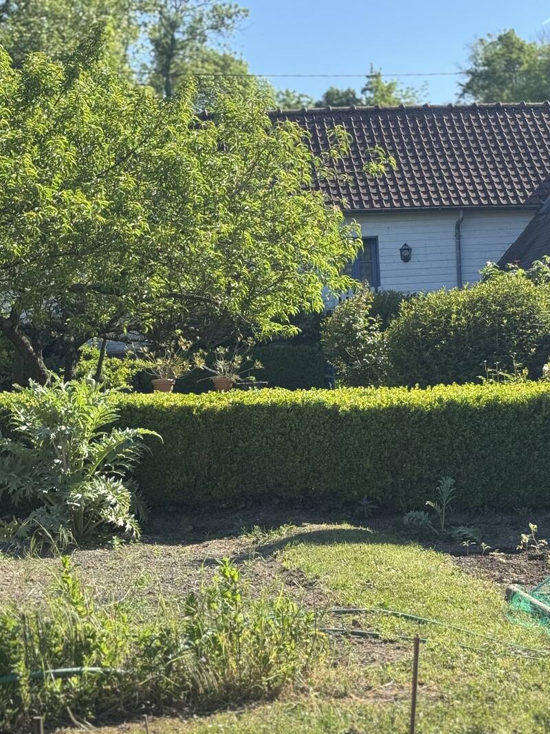 Long (80510)
