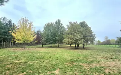 Saint-Rémy (24700)