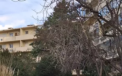 Toulon (83000)
