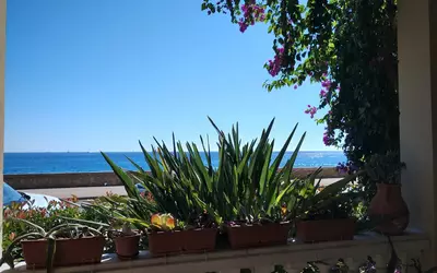 Menton (06500)