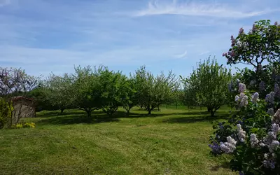 Beaumotte-Lès-Pin (70150)
