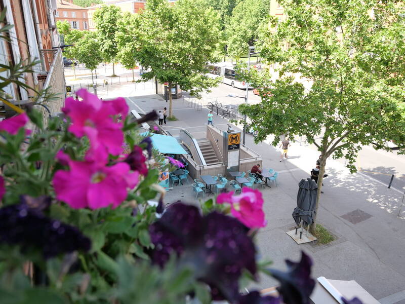 Toulouse (31000)